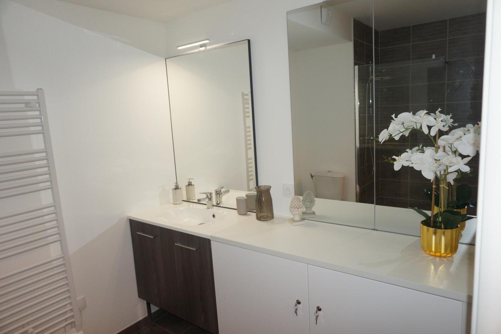 L'Ecrin Vert Chambery Coeur De Ville Ngoại thất bức ảnh