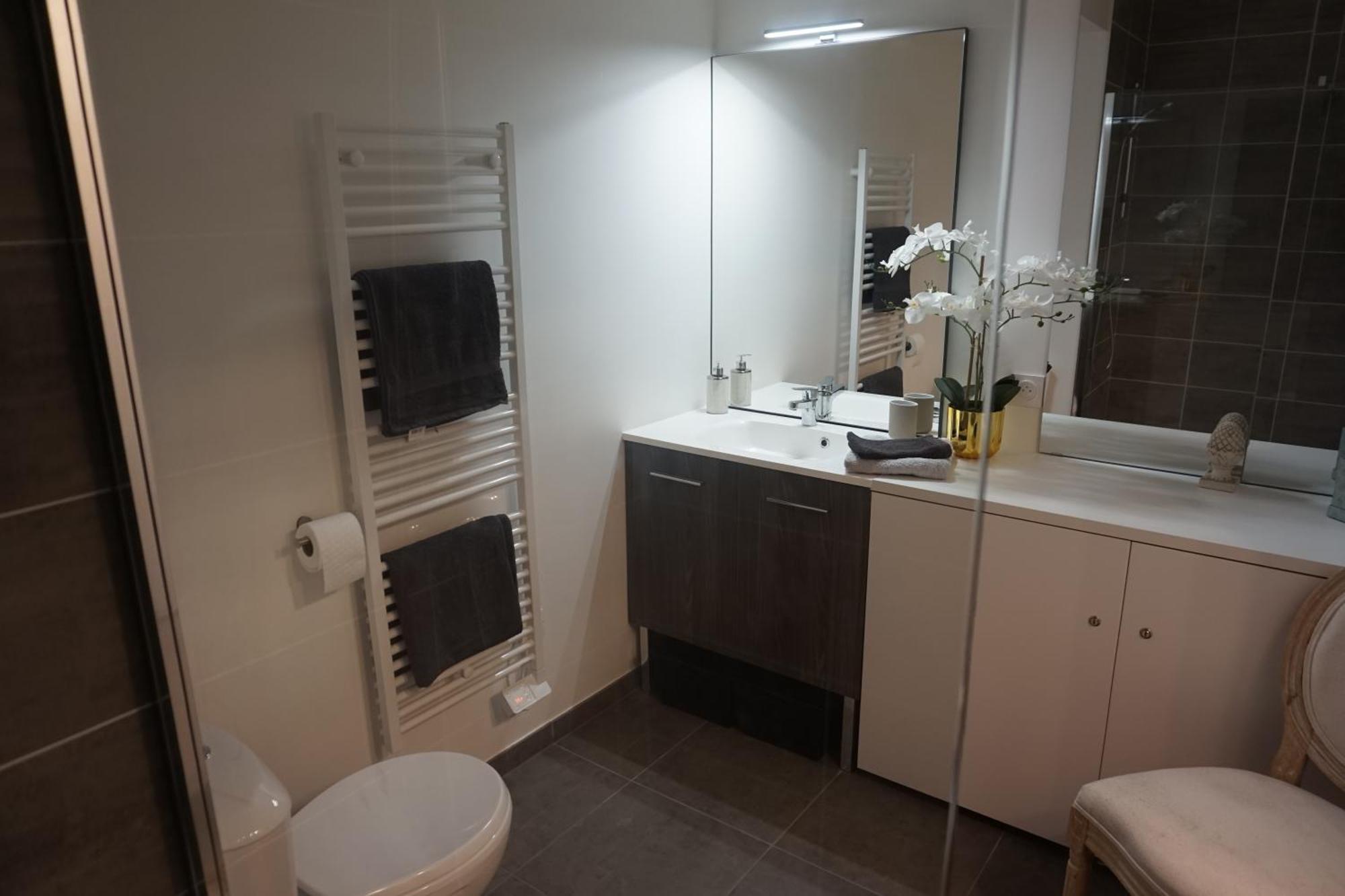 L'Ecrin Vert Chambery Coeur De Ville Ngoại thất bức ảnh